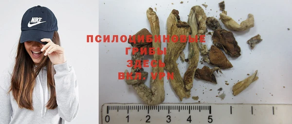 МДПВ Армянск