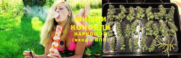гидропоника Балахна