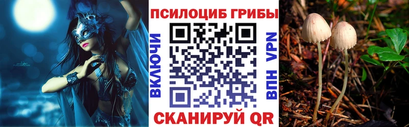 хочу   Спасск-Дальний  Галлюциногенные грибы мицелий 